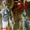 Human